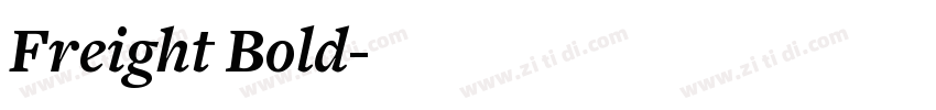 Freight Bold字体转换